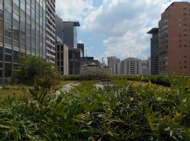 Topo do edifício da Gazeta, com teto verde plantado em janeiro do ano passado